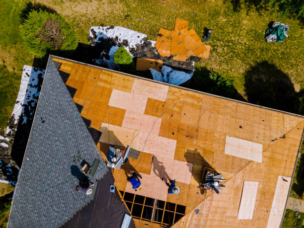 Best Roof Leak Repair  in Andrews, IN